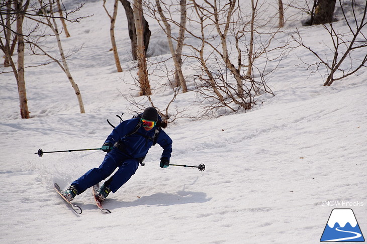 DYNASTAR SKI series Test Ride Days 2017 in ニセコユナイテッド【Day.1】～ニセコグラン・ヒラフ～